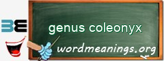 WordMeaning blackboard for genus coleonyx